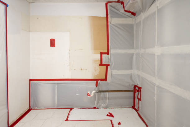 Best Emergency Mold Remediation  in Lindenwold, NJ