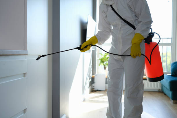 Best Air Quality Testing for Mold Spores  in Lindenwold, NJ